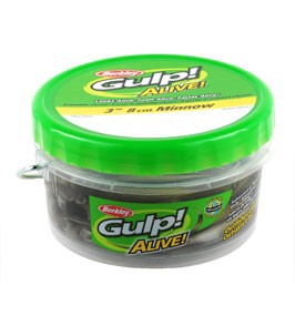 Gulp! Alive! 3' Minnow Assortment 