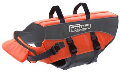 petbarn life jacket