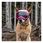 Rex Specs V2 Goggles - Thumbnail 2 of 2
