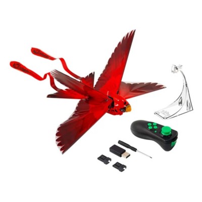 rc bird taibao price