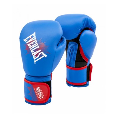 everlast prospect youth boxing kit