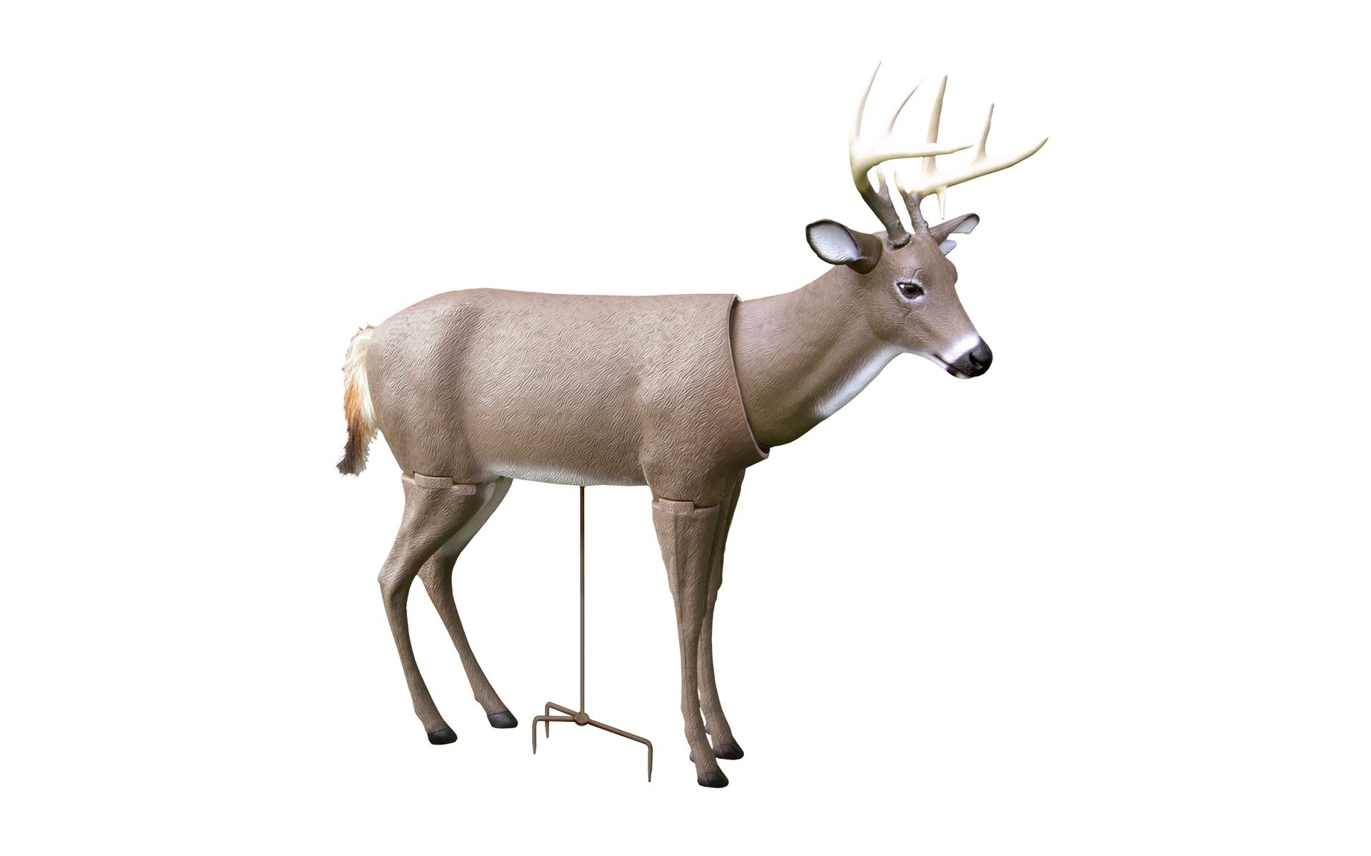 Deer Buck Decoys
