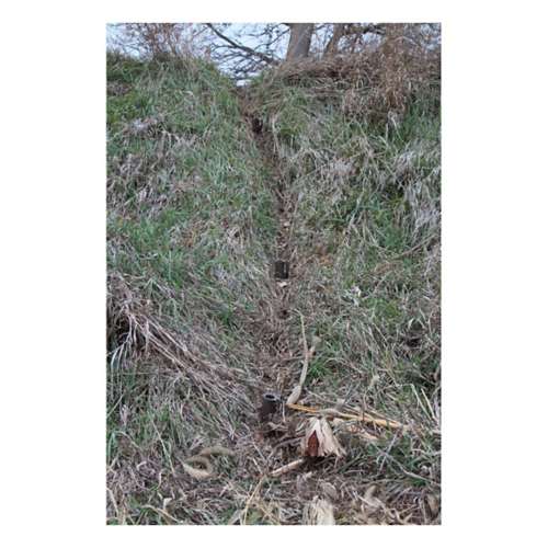 Duke Dog Proof Racoon Trap