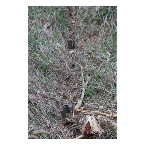 Duke Dog Proof Racoon Trap