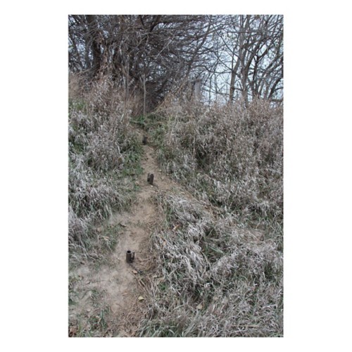 Duke Dog Proof Racoon Trap