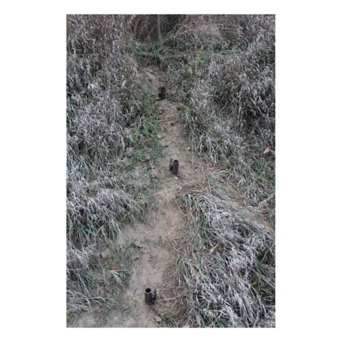 Duke 0510 DP Coon Trap (Pack of 6) for sale online
