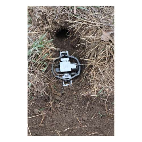 DUKE TRAPS 101743 4-Inch Steel Game Trap at Sutherlands