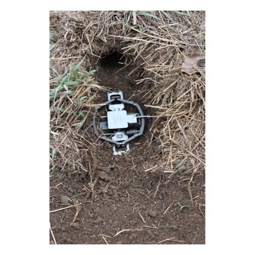 Duke Traps Pro Series 550 OS