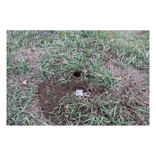 Duke Traps Pro Series 650 OS - Primary Image