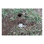 Duke Traps Pro Series 650 OS - Thumbnail 6 of 6