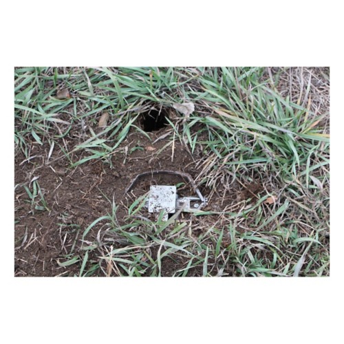 Duke Traps Pro Series 650 OS - Primary Image