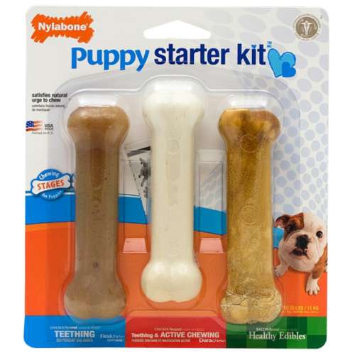 Nylabone Puppy Starter Kit