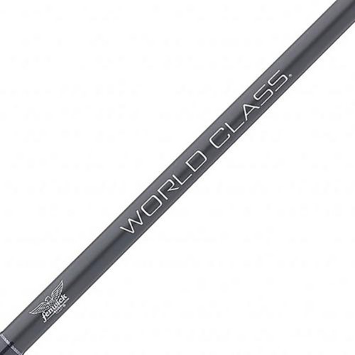 Fenwick World Class Bass Spinning Rod