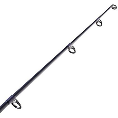 Fenwick World Class Bass Spinning Rod