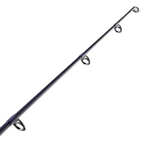 Fenwick World Class Inshore Spinning Rod