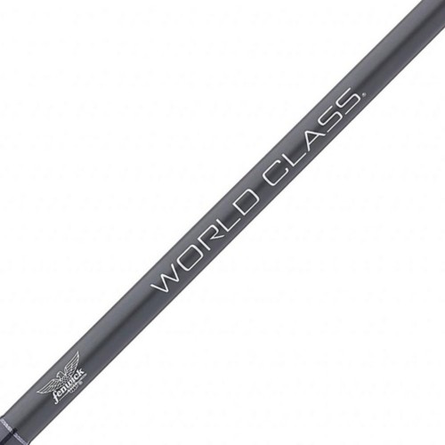 Fenwick World Class Inshore Spinning Rod