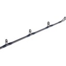 Fenwick Elite Predator Casting Rod