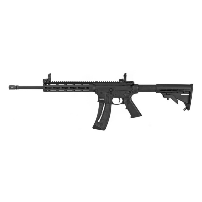 smith & wesson m&p 15 22 sport rifle .22lr scope