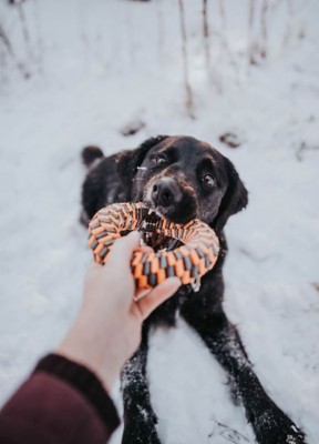 tall tails braided toy