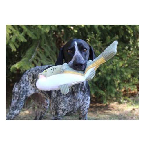 Tall Tails Animated Bass Dog Toy