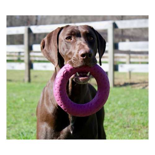 Tall Tails Goat Sport Ring Dog Toy, Small