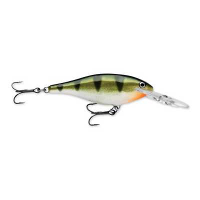 Yellow Perch