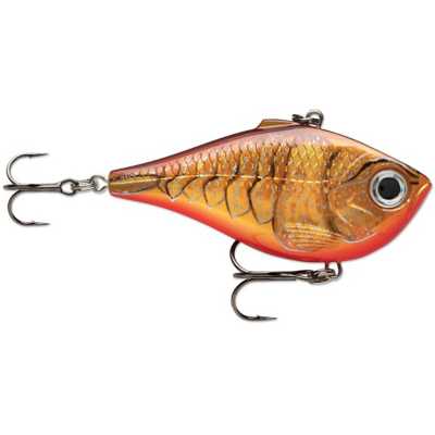 Dark Brown Crawdad