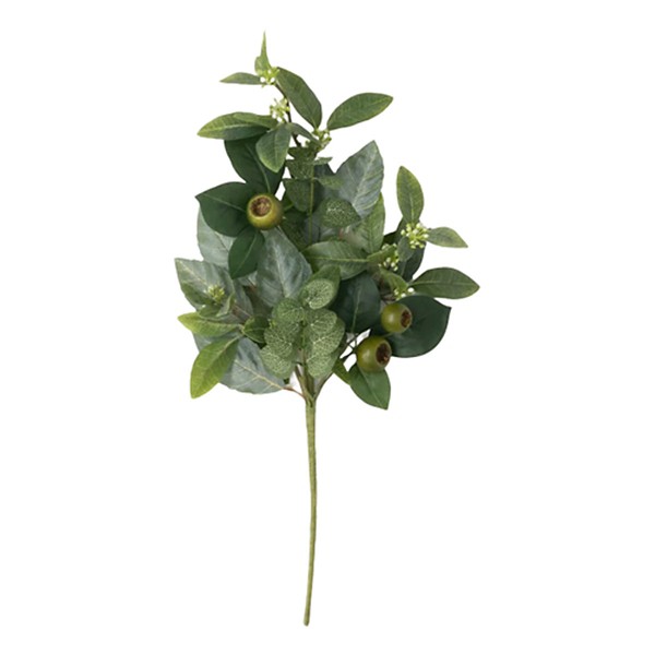 Sullivans Israeli Ruscus Pick