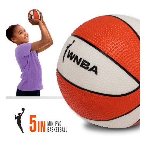 Franklin Sports WNBA Golden State Valkyries Over the Door Basketball Hoop - Primary Image