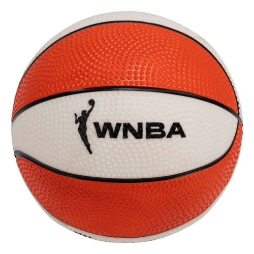Franklin Sports WNBA Golden State Valkyries Over the Door Basketball Hoop - Primary Image
