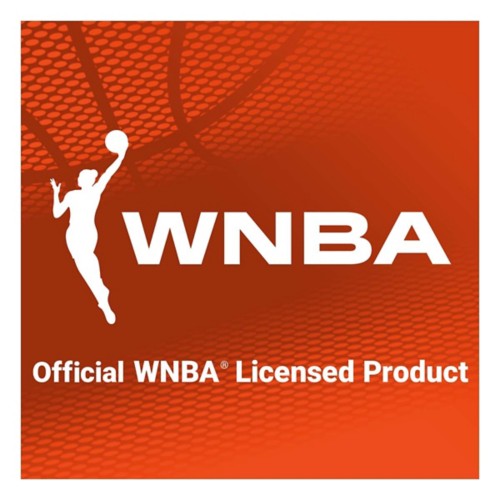 Franklin Sports WNBA Golden State Valkyries Over the Door Basketball Hoop - Primary Image
