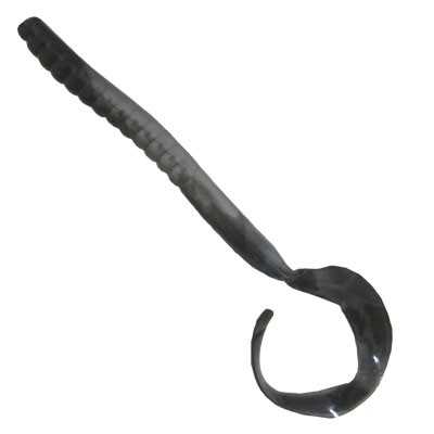 Black Shad