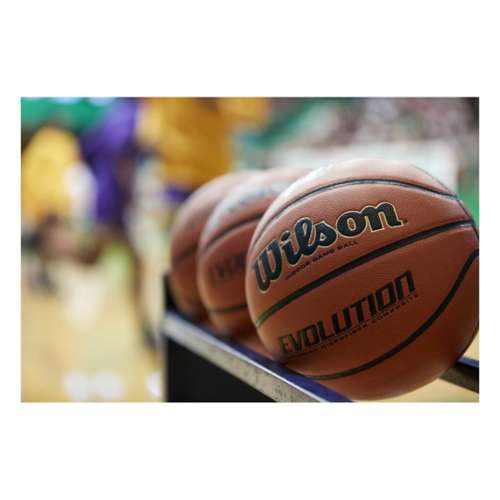 Evolution basketball on sale