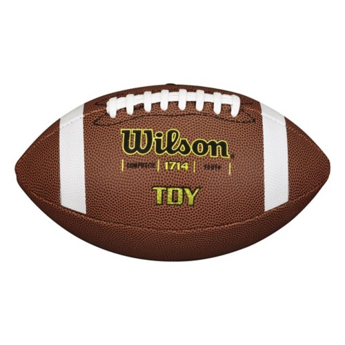 Wilson TDY Youth Composite Football