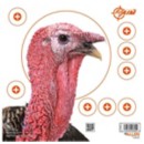 Allen EZ-Aim Four Color Turkey Target