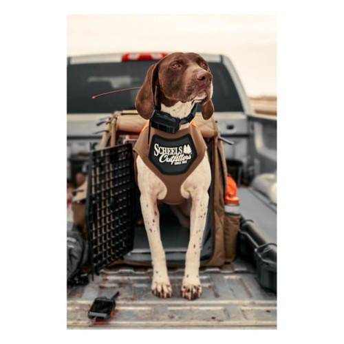  Pet Goods NCAA Virginia Cavaliers Dog Collar, Large : Sports  Fan Pet Collars : Sports & Outdoors