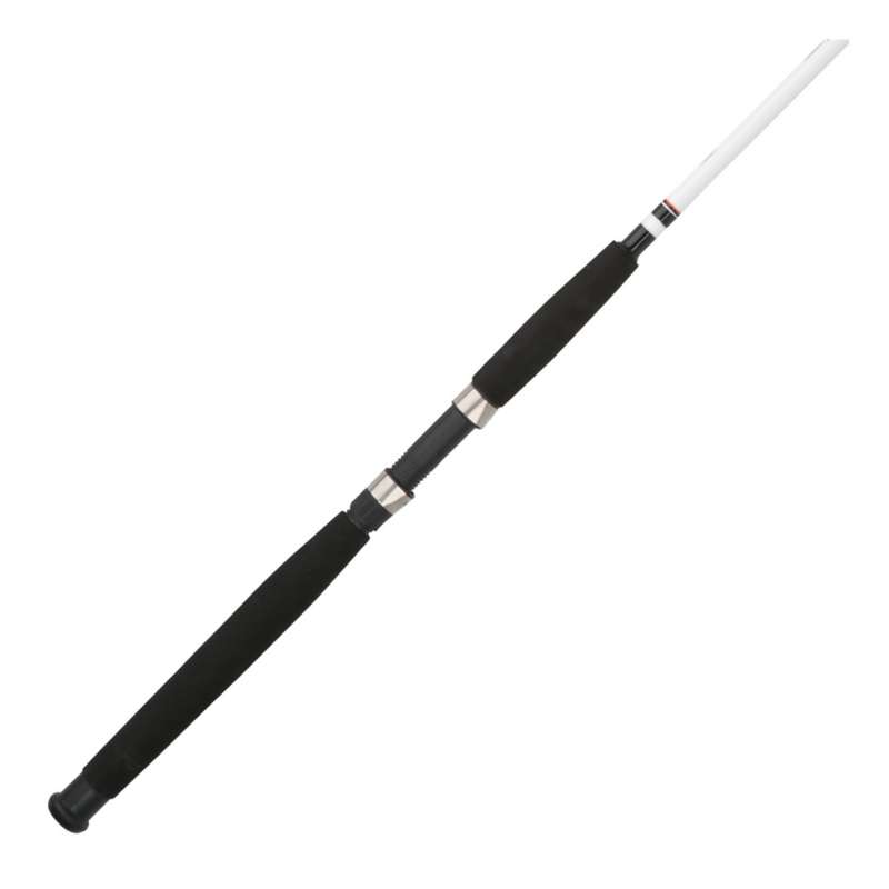 Berkley Big Game Spinning Rod