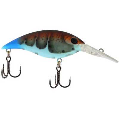 Killer Craw
