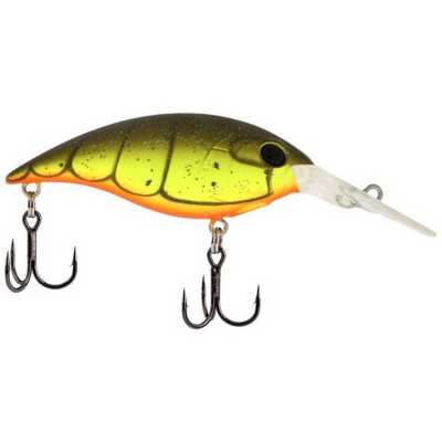 Root Beer Craw