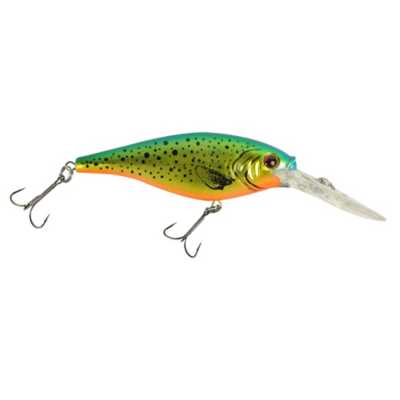 Speckled Gold Shiner