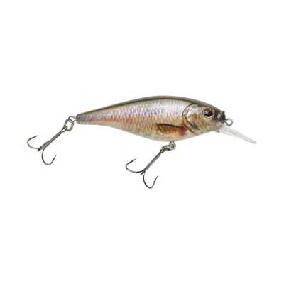 HD Fathead Minnow