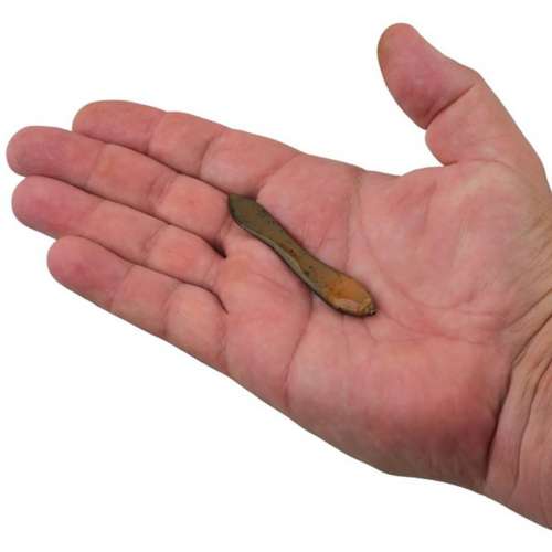 Berkley Gulp! Minnow Fishing Bait, Gold Leaf, 1in, Extreme Scent Dispersion