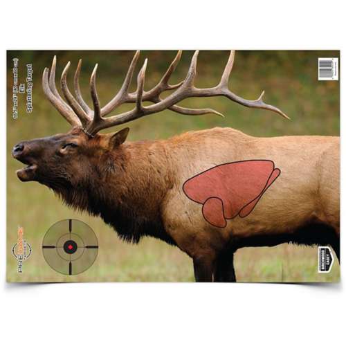 Birchwood Casey PREGAME Elk Target 3 Pack