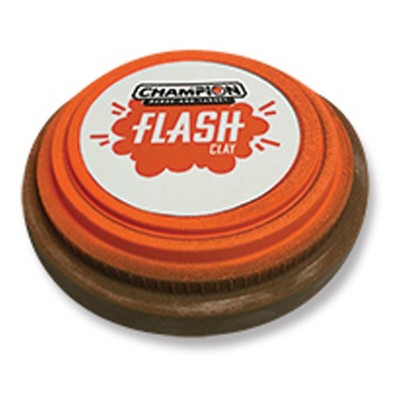 champion swimwear target