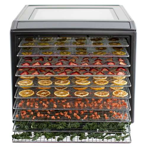 Excalibur 10 Tray Performance Digital Dehydrator in Stainless Steel