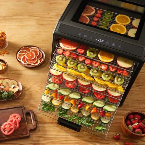 Excalibur 10 Tray Performance Digital Dehydrator in Stainless Steel