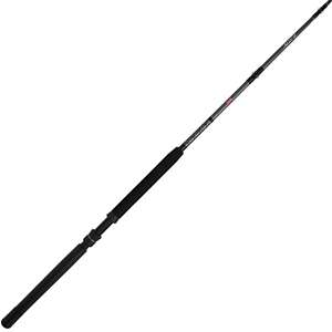 Saltwater Conventional Fishing Rods