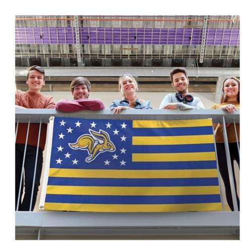 : WinCraft Dallas Large 3x5 Flag : Sports Fan Outdoor