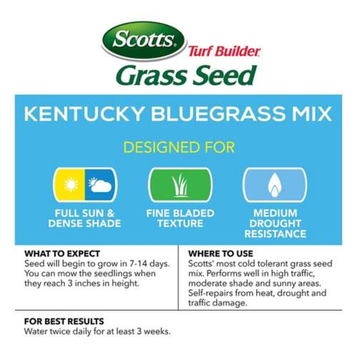 Scotts Turf Builder Kentucky Bluegrass Sun or Shade Grass Seed 3 lb