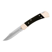 Buck 110 Folding Hunter Knife